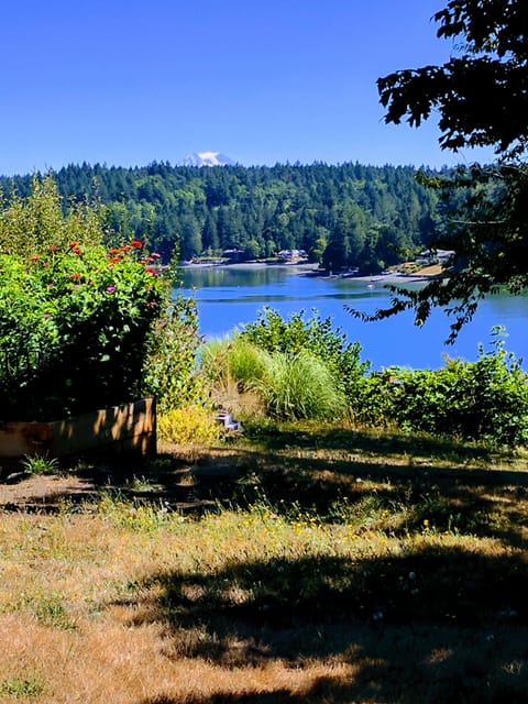 View from chairs in side yard - sit and relax