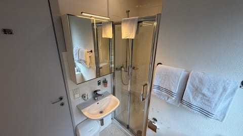 Double Room | Bathroom | Shower, free toiletries, hair dryer, towels
