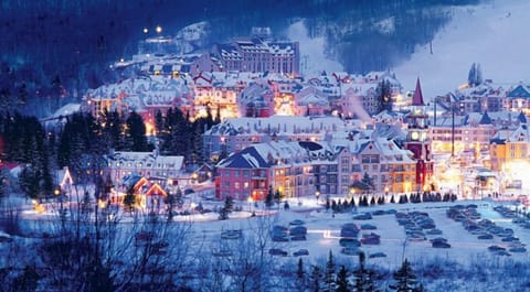 Magical Pedestrian Village