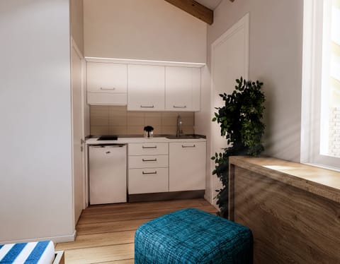 Studio with extra bed, Kitchenette | Private kitchen