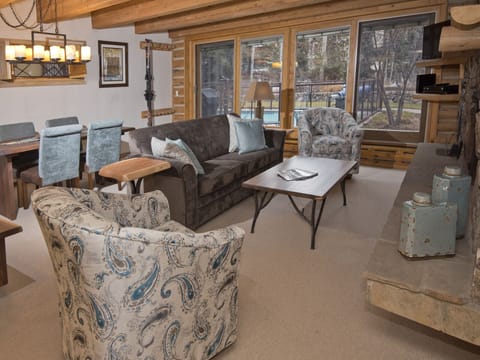 Living Room w/ Sleeper Sofa