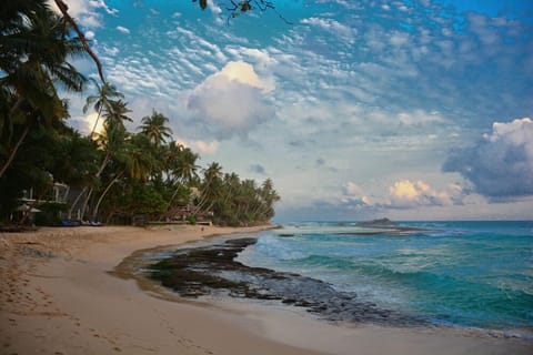 On the beach, white sand, beach umbrellas, beach towels