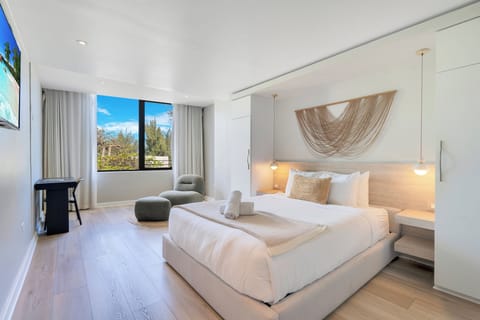 Deluxe Room, 1 Queen Bed, Park View | View from room