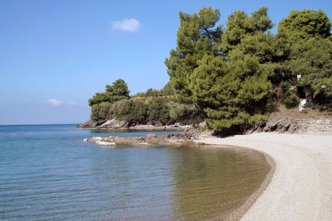 Beach nearby, beach umbrellas, snorkeling, 6 beach bars