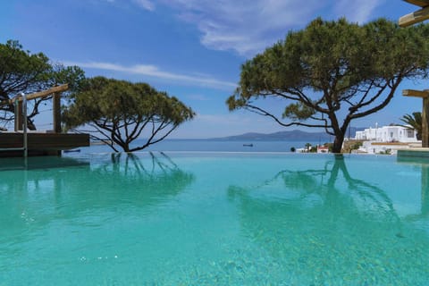 Outdoor pool, pool umbrellas, sun loungers