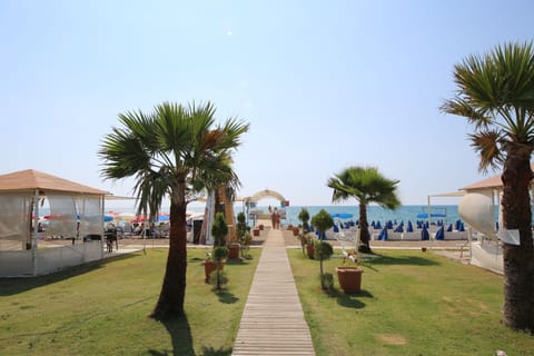 On the beach, free beach shuttle, sun loungers, beach umbrellas