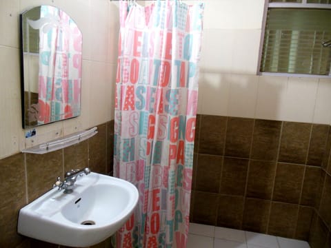 Deluxe Room | Bathroom | Shower, free toiletries, towels
