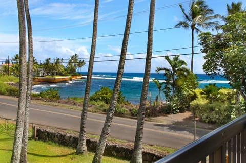 Lanai View