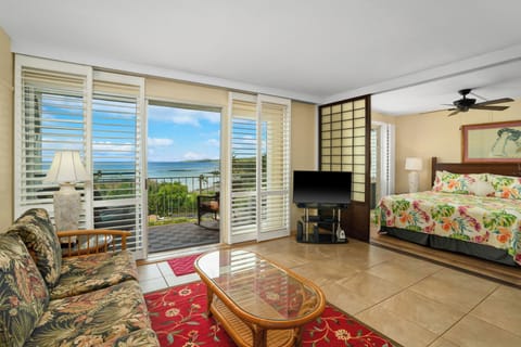 Ocean view 1-bedroom on Sunny South side of Kauai