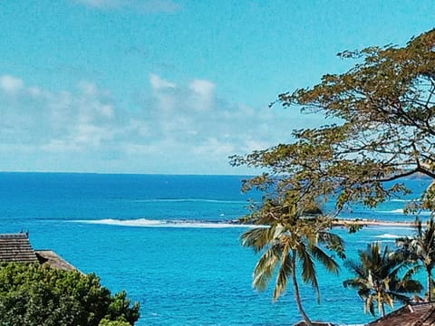 Lanai View