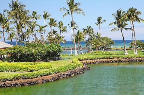 mauna lani terrace e201
