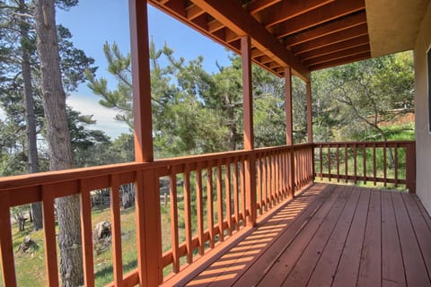 Back deck