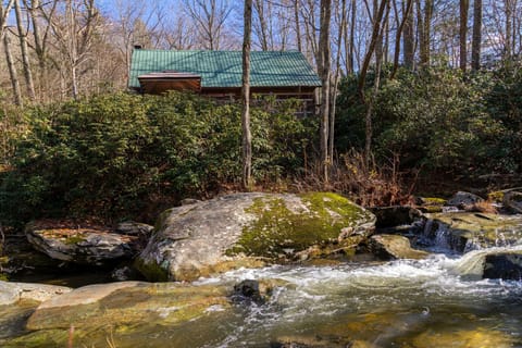 Short-range river view of the cabin