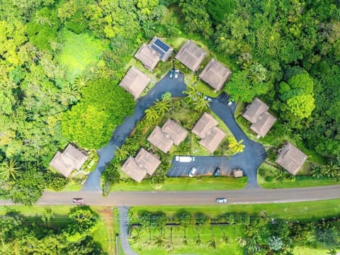 Surrounded by greenspace at Hale Honu