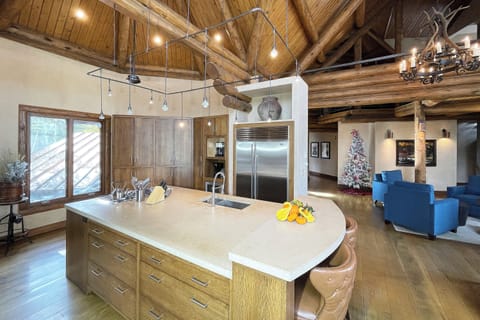 2.07-telluride-alpen-ridge-kitchen-2