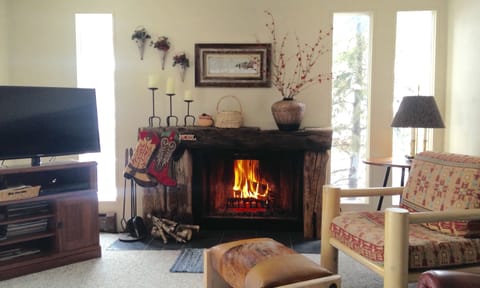 Fireplace: wood included 