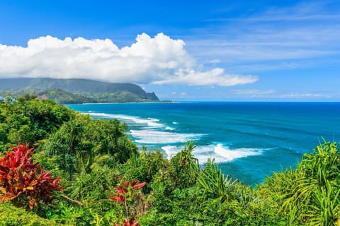 View from Lanai