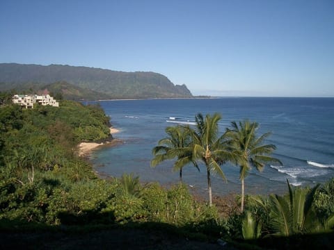 The Postcard View