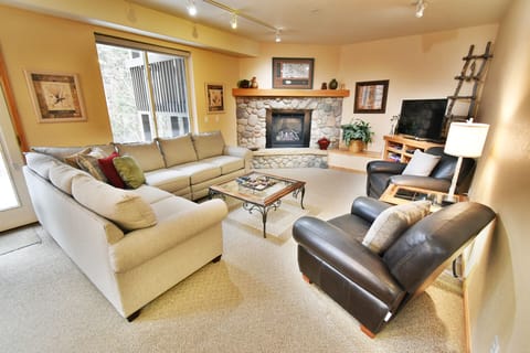 Living Room with Gas Fireplace - Living Room with Gas Fireplace