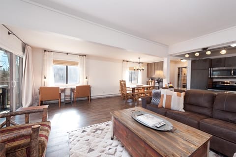 Main Living Space, Kitchen, Dining and Work Desk