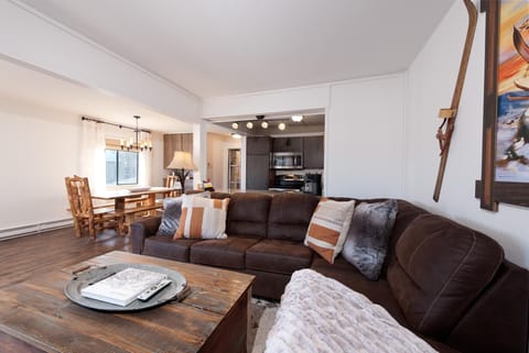 Main Living Space (TV, wood burning fireplace and deck) and awesome views