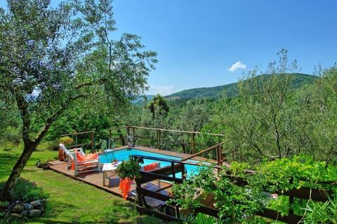 Garden, Outdoor, Pool, Scenic View, Summer