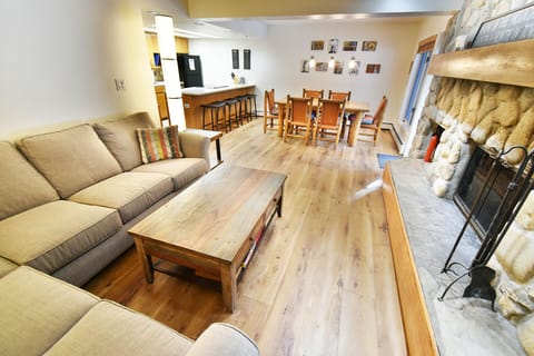 Living Area with Wood Fireplace, Sofabed - Living Area with Wood Fireplace, Sofabed