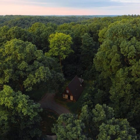A-Frame #01 from the sky