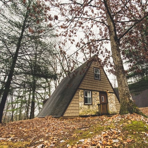 A-Frame #06 Exterior