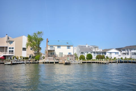 MILLER-HOUSE