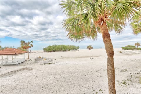 Beach Area on the Gulf of Mexico