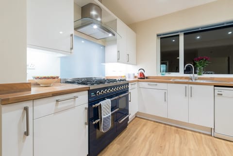 Well-equipped kitchen with range master