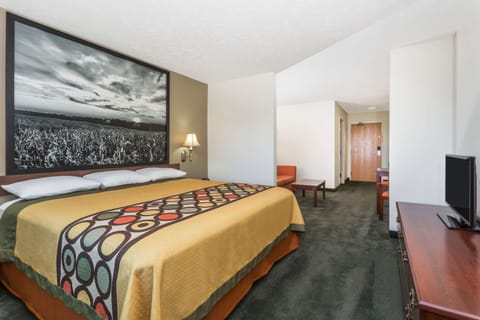 Studio Suite, 1 King Bed, Non Smoking | Desk, laptop workspace, blackout drapes, soundproofing