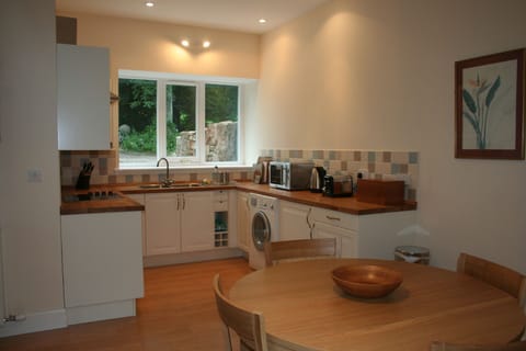 Kitchen area in the Studio