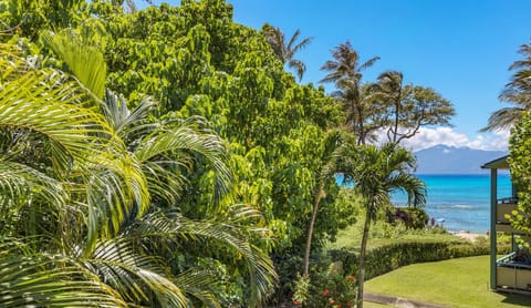 View from  Condo 217, Napili Bay Resort