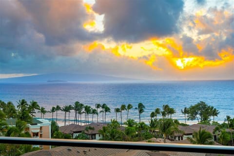Spectacular sunset views paint the sky in golden hues while swaying palms frame the endless ocean below, creating the perfect backdrop for your tropical getaway.