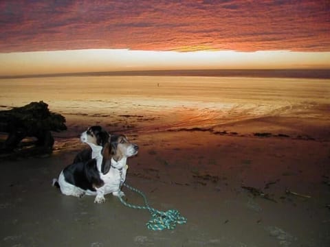 sunset on the beach