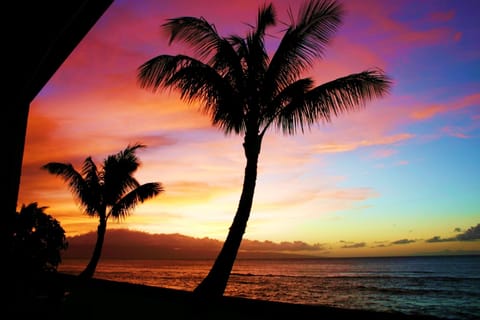 Pic taken from our Ground Floor Lanai, just steps to the ocean!  Our best sunset