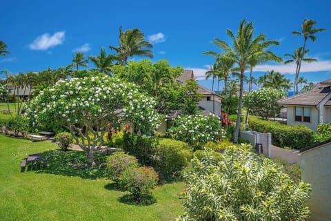 Kahala 422 - Beautifully landscaped gardens and flora