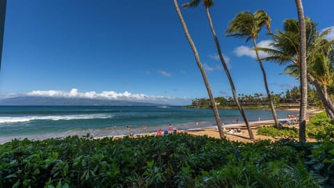 NB104-010_LANAI