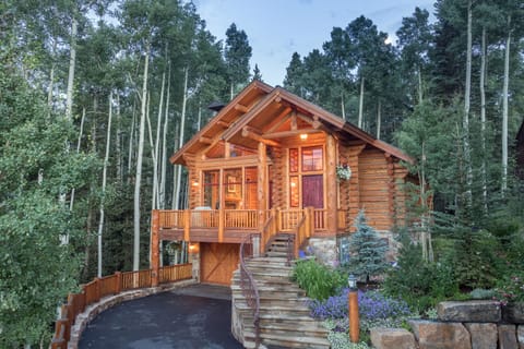 1-Telluride-Palmyra-Pines-Exterior