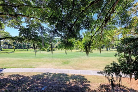 Golf views