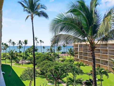 View from lanai