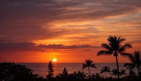 Lanai Sunset View - Condo 7 106, Kona Coast Resort