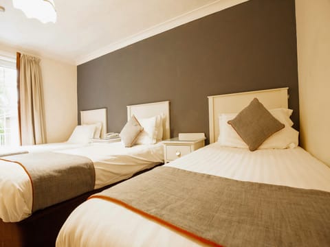 Deluxe Triple Room | Iron/ironing board, WiFi (free), bed sheets