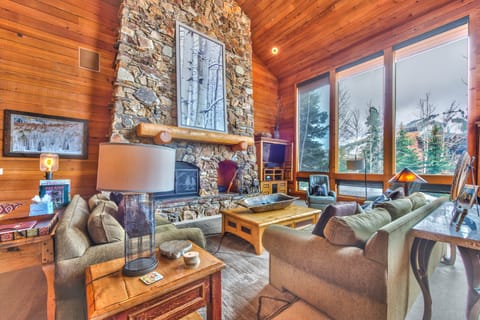Living room with TV, Fireplace and Sofa Sleeper