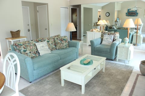 Sofa Sleeper In Living Room