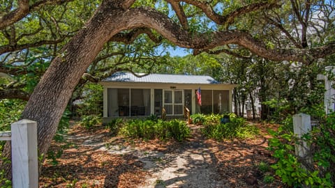 Made in the Shade Exterior