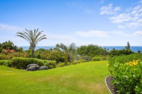 View from Lanai