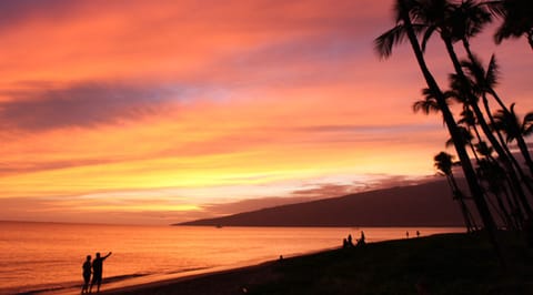 A13 Kihei Sands Beachfront Condominiums - Evening beach walks as the sun sets begin just a few feet from your door - exactly what you need right now! Come stay with us at Condo A13 and you'll see what we mean.